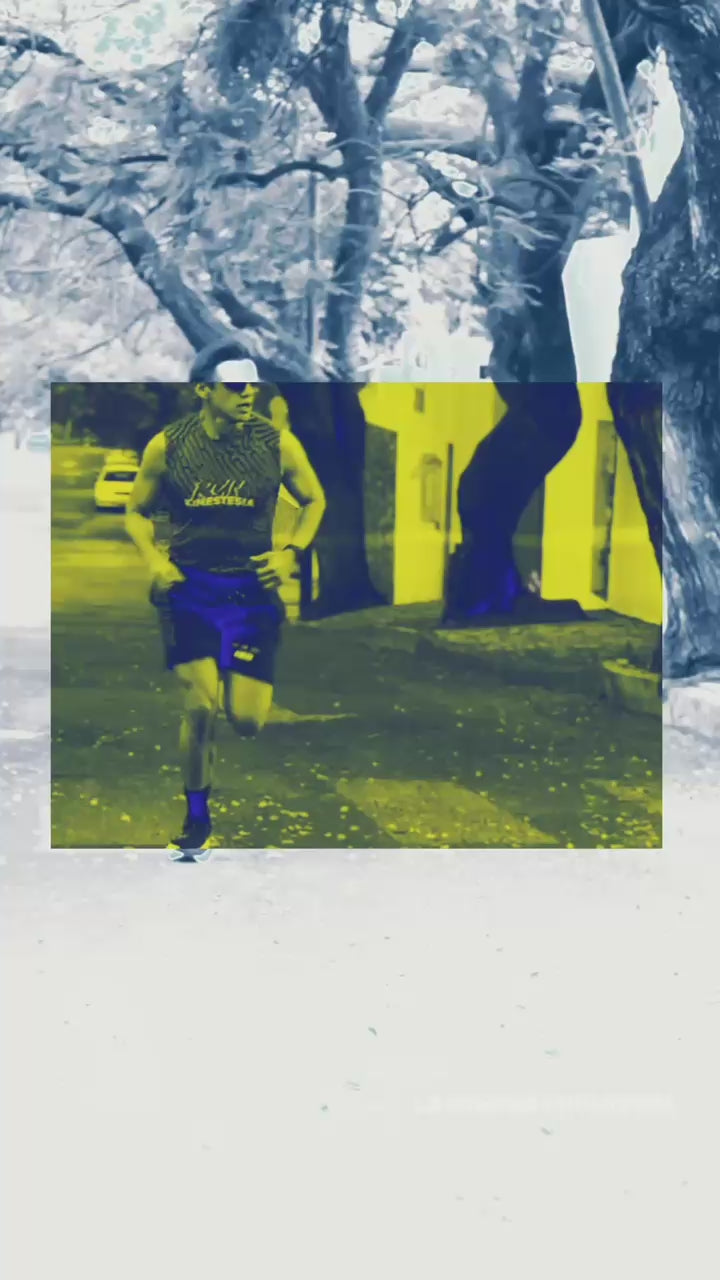 Cargar video: 